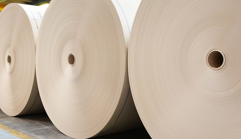 P+Series PLA Coated Bamboo Paper